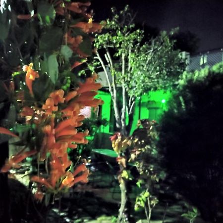 Last Chance Cafe And Guest House Rishikesh Bagian luar foto