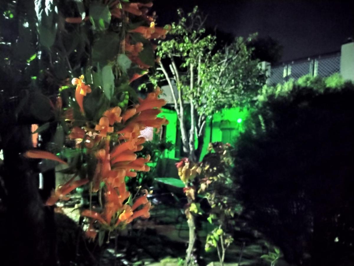 Last Chance Cafe And Guest House Rishikesh Bagian luar foto